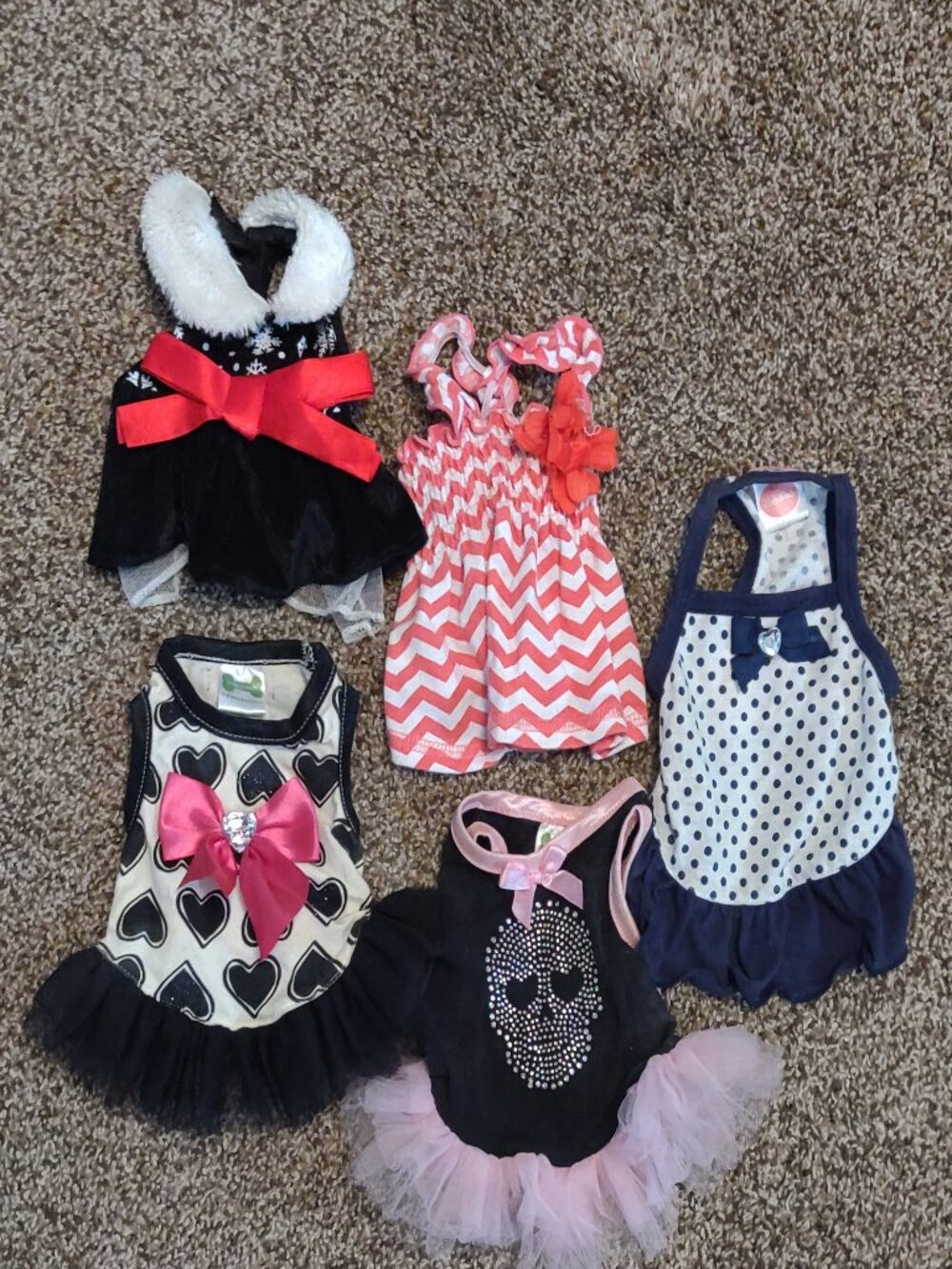 Small Dog Clothes *Bundle of 37 Pieces* All XXS or XS - Picture 10 of 10